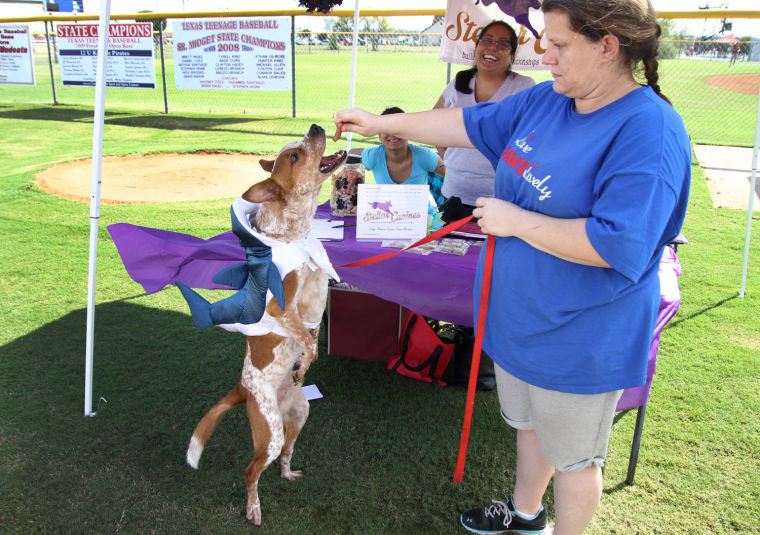 Barktoberfest 2013